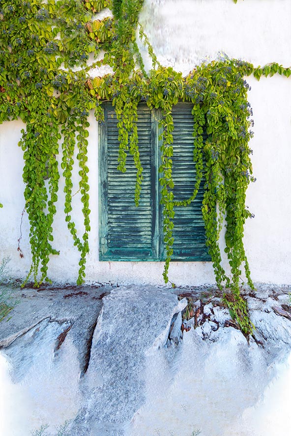 Φόντο πίσω αυλή